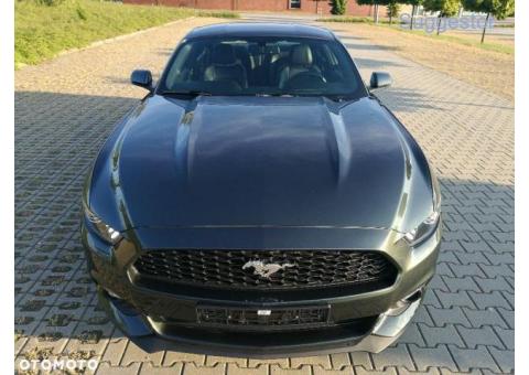Ford Mustang MUSTANG 2,3 ECOBOOST 2015 rok 317 PS 18.600 km IDEALNY! Full opcja!